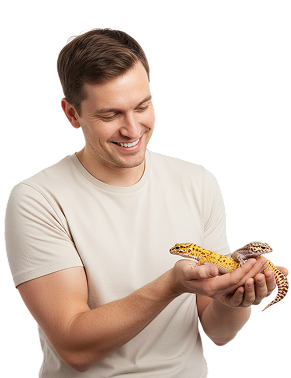 About Us The Tails Pet Care