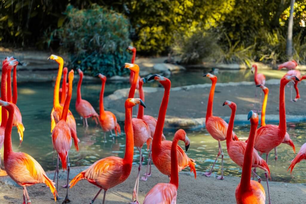 Birds: Sensitive to Drafts and Sudden Temperature Drops