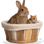 thetails home heropage backet 150x150 1