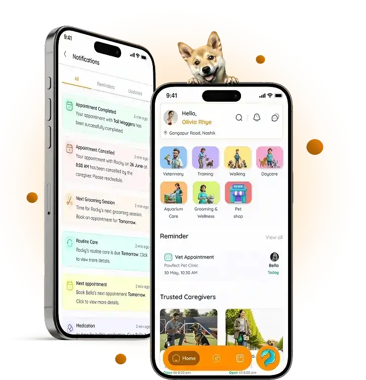 Discover trusted pet care services delivered by caregivers who treat your pets like family.